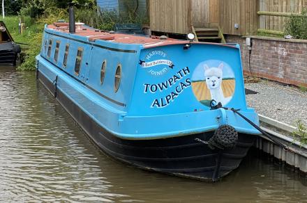 Alpaca Wool & Other Products Available from Shop : Nootlin at Harveys Boatbuilders (Taken on Wednesday 26th May 2021)<br />