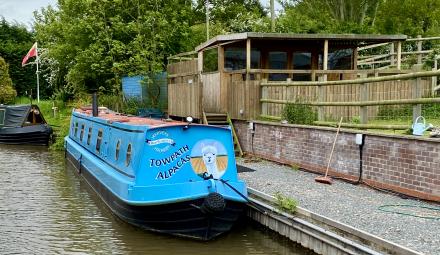 Alpacas Always Visible with First Rate Accommodation : Nootlin at Harveys Boatbuilders (Taken on Wednesday 26th May 2021)<br />